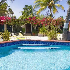 Beach House Aruba Apartments Appartement
